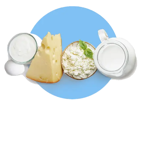 LÁCTEOS Y HUEVO